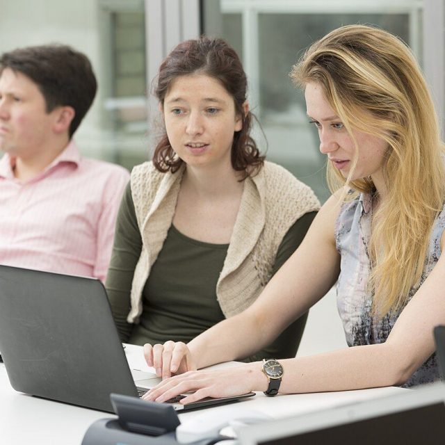 Colleagues working together on laptops during in-house training