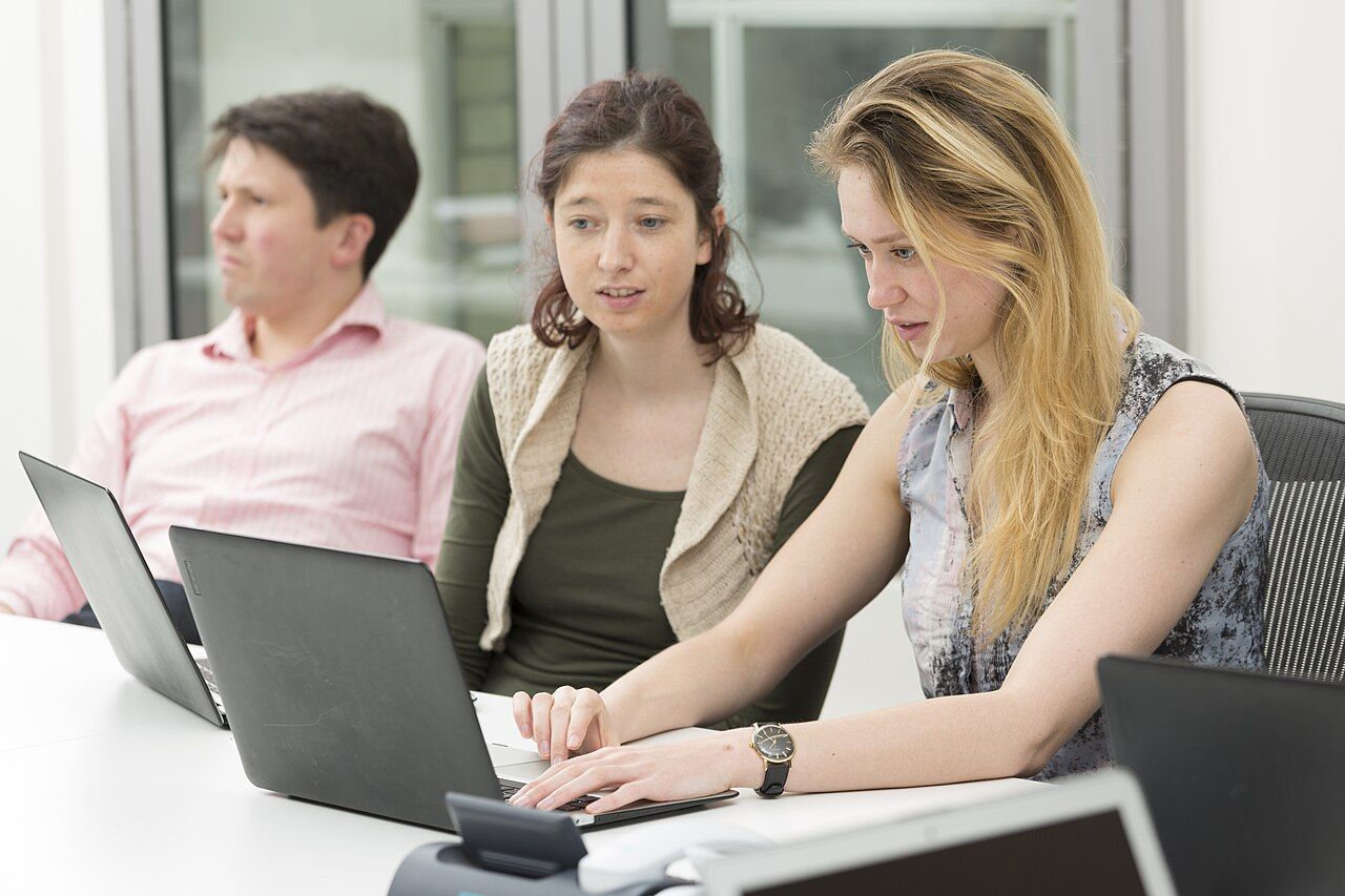 Colleagues working together on laptops during in-house training
